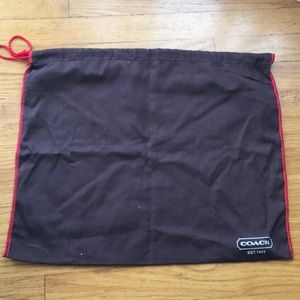 Coach Shoe/purse bag